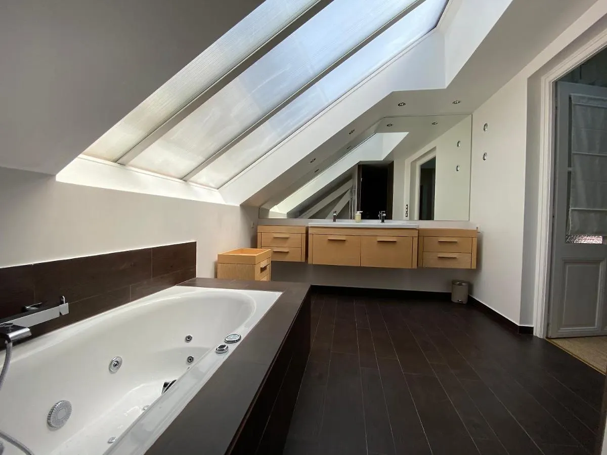 Elegant Duplex De Haut Standing De 230M2 Ла-Рош-сюр-Форон Апартаменты